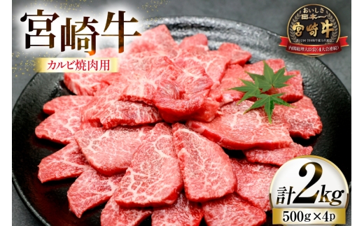 牛肉 宮崎牛 カルビ 焼肉用 500g 4p 計 2kg [ローカルブランディング 宮崎県 日向市 452061523] 冷凍 小分け 黒毛和牛 黒毛 A4 A5 焼肉 焼き肉 BBQ バーベキュー 国産