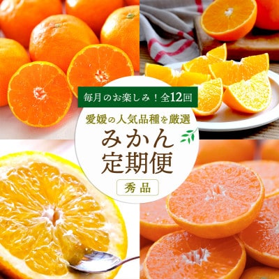 【発送月固定定期便】愛媛の人気品種を厳選!みかん定期便(秀品)【H25−166】全12回【配送不可地域：離島】【4054625】