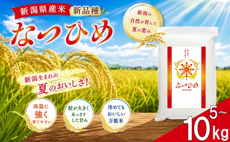 
                  【最短5日発送】 令和8年産 なつひめ 真空パック 白米 5kg 10kg  新潟産 新潟米 新発田産 新発田 なつひめ なつ ひめ 新米 新種 姫 なつひめ 新潟県産 お米 米 kome ご飯 こめ ごはん ライス ふるさと納税 お弁当 食品 ブランド米 新潟県 新発田市 三糧 sanryo021P
                