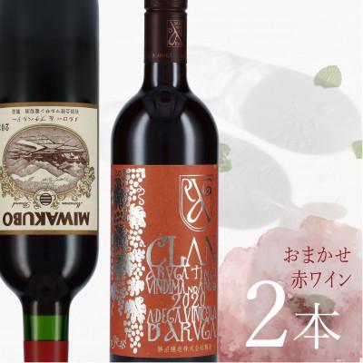 ふるさと納税 甲州市 甲州日和セレクション甲州市赤ワイン2本セット(KB-001)