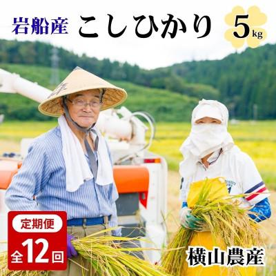 ふるさと納税 関川村 【毎月定期便】関川村産こしひかり5kg ふっくら美味しさ 岩船米 [横山農産]全12回