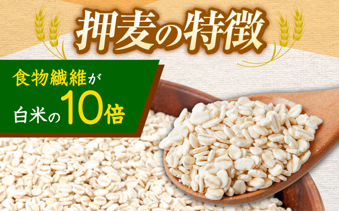 【全3回定期便】 押麦「長崎100年麦 御島裸」1kg×10袋 計10kg / 麦 むぎ 押麦 はだか麦 麦味噌 雑穀 雑穀米 食物繊維 小分け / 諫早市 / 有限会社伊東精麦 [AHBU010]