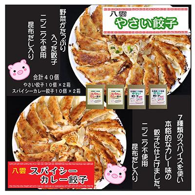ふるさと納税 八雲町 お酒によく合う　八雲やさい餃子+スパイシーカレー餃子(各10個入×2箱)