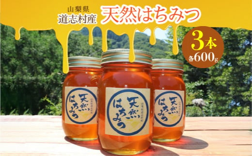 
道志村産　天然はちみつ（600g×3本） ふるさと納税 はちみつ ハチミツ 蜂蜜 ハニー パン 食パン 山梨県 道志村 送料無料 DSD002
