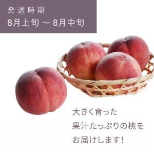 もも 桃 あかつき 約5kg 令和6年産 2024年産 果物 ja-moatx5※沖縄・離島への配送不可