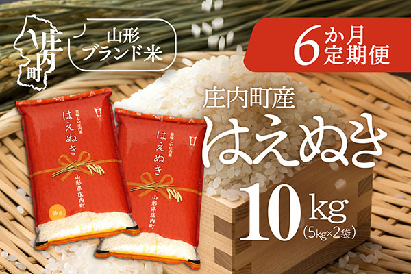 ＜5月中旬発送＞庄内米6か月定期便！はえぬき 10kg【入金期限：2026.4.25】5kg×2袋 ブランド米 米 国産 単一原料米 山形 庄内平野 コシヒカリの原点、亀の尾発祥の地 庄内 定期