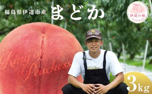 キングオブピーチ 桃 「まどか」約3kg（8～12玉）まどか 伊達の桃 桃 もも モモ 果物 くだもの フルーツ 国産 食品 F21C-138