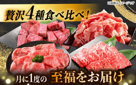 【8回定期便】 飛騨牛を食べつくす！ 飛騨牛 プレミアム 定期便 4人前 ( しゃぶしゃぶ × すき焼き × サイコロステーキ × 焼肉 ) 各1kg A4等級以上  多治見市 / 渡辺精肉店 和牛 