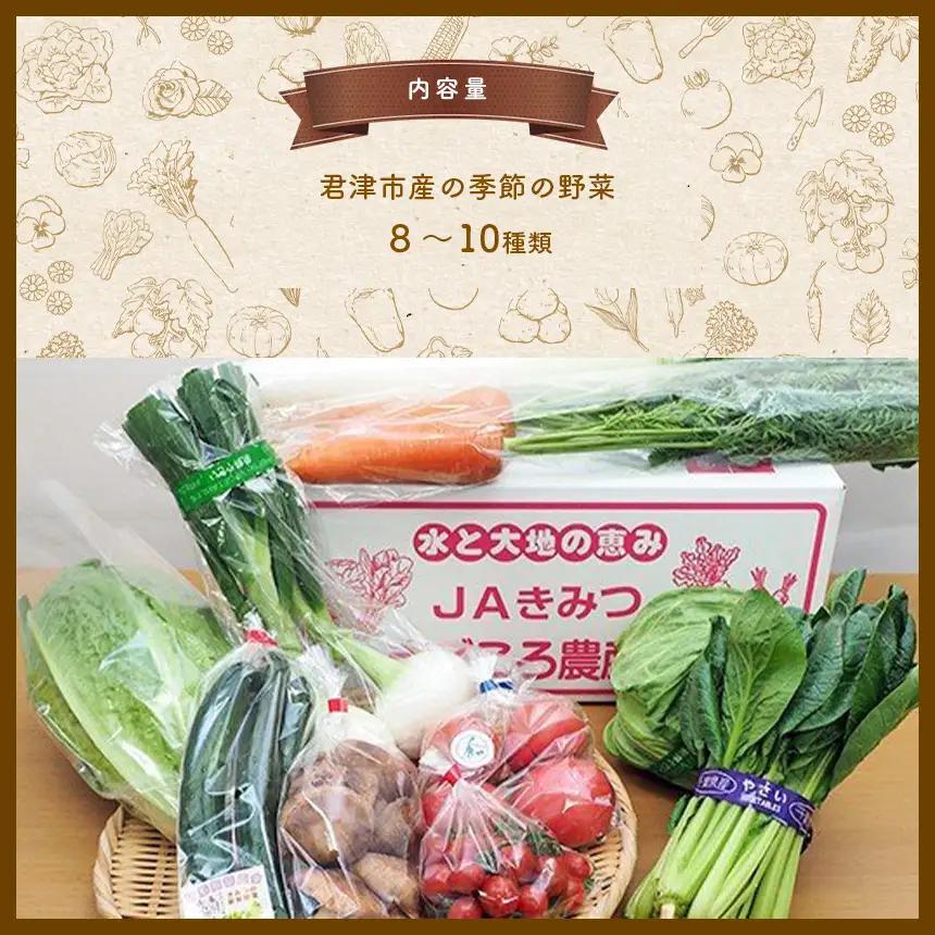 季節の野菜まごころBOX 人気の直売所 JAきみつ味楽囲さだもと店 | 野菜  詰合せ セット  旬野菜 新鮮 千葉県 君津市