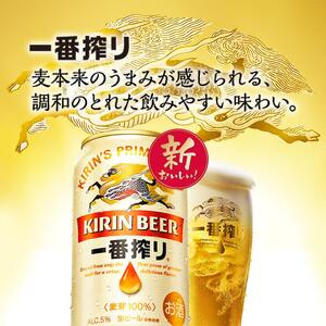 【12ヵ月定期便】キリン 一番搾り 500ml×48本　【定期便・ お酒 アルコール アルコール飲料 晩酌 家飲み 宅飲み 飲み会 集まり バーベキュー BBQ イベント 飲み物 缶ビール 】