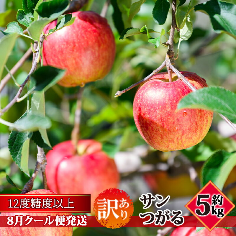 【ふるさと納税】【8月クール便発送】（糖度12度以上）訳あり品 家庭用 サンつがる約5kg【 青森りんご】　お届け：2026年8月下旬