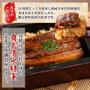 【数量限定】チンする♪霧島湧水鰻重セット 2食入 620g（310g×2） a0-154