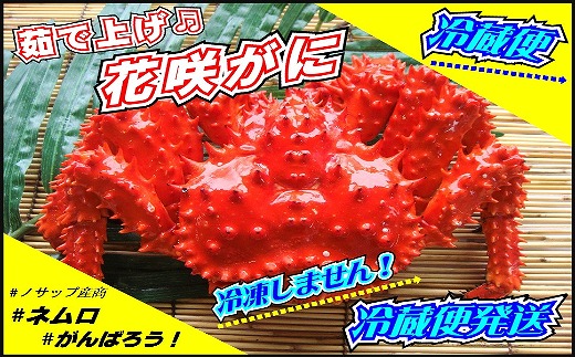 
B-59017 【北海道根室産】花咲がに 2～3尾(計1kg以上)(チルド便発送)
