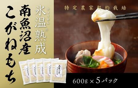 【生切り餅】氷温熟成南魚沼産こがねもち3.0kg【2026年1月14日より順次発送予定】