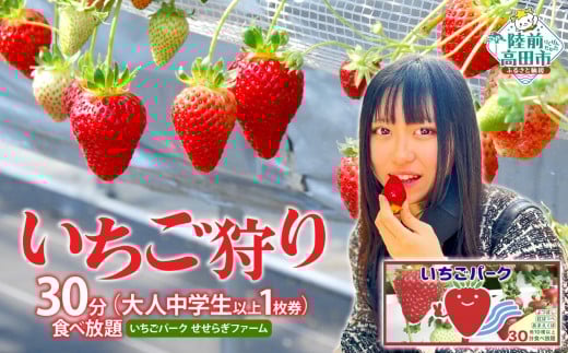 （大人中学生以上 1枚券）いちごパーク せせらぎファーム　いちご狩り30分食べ放題チケット