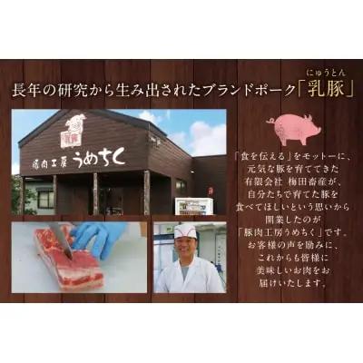 Z04-04 乳豚しゃぶしゃぶ鍋Ａセット(ロース・バラ・つみれ) 豚肉