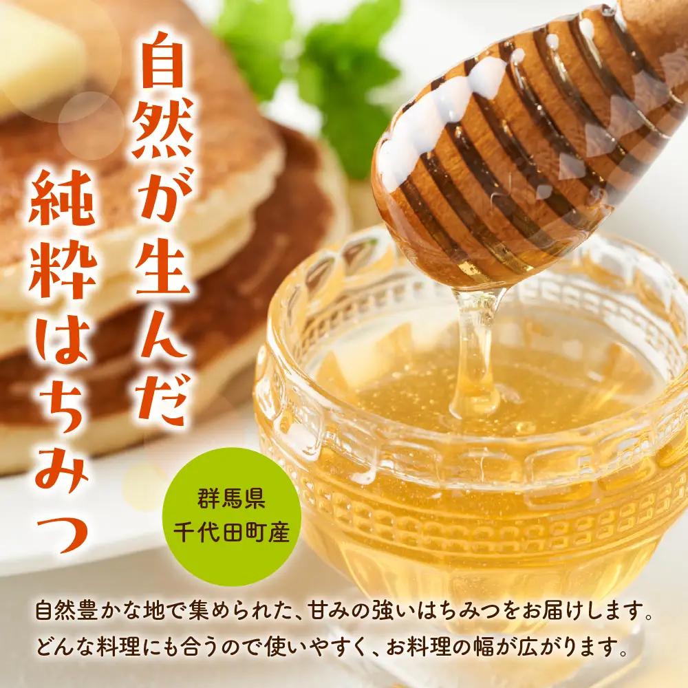 【9月発送】はちみつ 【千代田町の蜂蜜】アカシア蜂蜜 600g 群馬県 千代田町 ＜田代養蜂場＞ ※沖縄・離島配送不可 