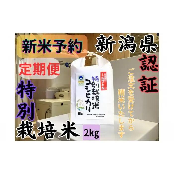 【令和8年産・新米予約・定期便】安心安全の新潟県南魚沼産特別栽培米コシヒカリ　2kg×６か月　新潟県認証【定期便 銘柄米 ブランド米 精米 こしひかり コシヒカリ】【2026年10月上旬より1ヶ月以内