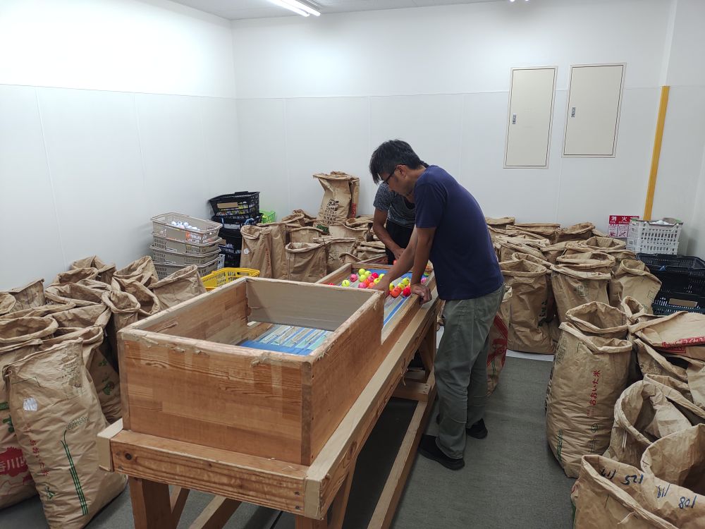 最高級・高品質ロストボール　6個×２　【XXIO　REBOUND DRIVE　シリーズ】他ブランドあり 最高級・高品質ロストボール　6個×2 ゴルフ ロストボールセット ｜練習用 ゴルフボール ブラン