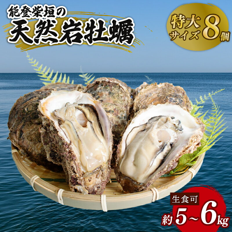 【ふるさと納税】 【期間限定】 能登 柴垣産 天然 岩牡蠣 特大 8個 生食用 産地直送 柴垣の天然岩ガキ 新鮮 冷蔵 鮮度抜群 殻付き 大粒 濃厚 クリーミー ブランド 牡蠣 カキ 海鮮 カキ プリプリ 肉厚 旨味 凝縮 魚介類 魚貝類 おすすめ 人気 夕食 ごはん