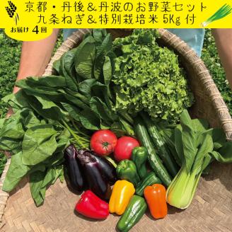 【定期便】合計4回お届け 九条ねぎ ＆ コシヒカリ 5kg（丹後コシヒカリ特別栽培米）＆ 野菜詰め合わせ 有機野菜・京野菜の『京都やおよし』亀岡・京丹後産※着日指定不可※北海道・沖縄・離島への配送不可