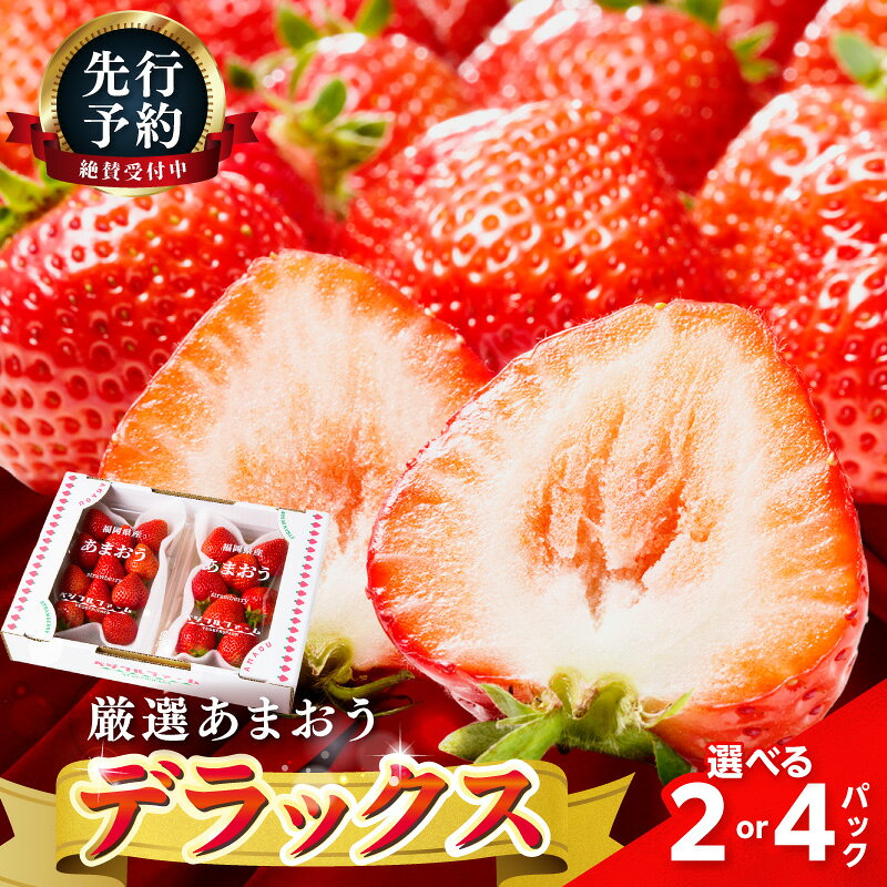 【ふるさと納税】＼選べる内容量／【2027年先行予約】あまおうデラックス(2パック)(4パック)
