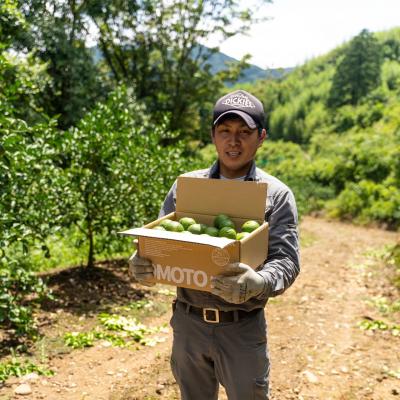 ふるさと納税 宇佐市 おもとの丘のかぼす 約4kg【111300201】【株式会社未来農林】 |  | 03