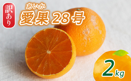 【紅まどんな と同品種】訳あり 愛果28号 家庭用 2kg | まどんな【NO0571】