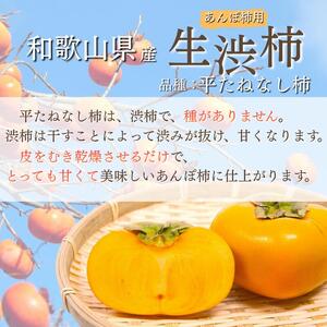 甘さが違う！とっても甘くなる生渋柿（平たねなし柿）あんぽ柿用 T軸枝無 約2.5〜3kg 約9〜18個【2026年10月下旬～順次発送】【art041A】