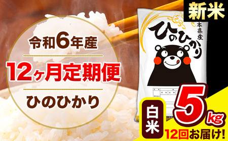 令和6年産 新米 ひのひかり 【12ヶ月定期便】 白米  5kg (5kg×1袋) 計12回お届け 《お申し込み月の翌月から出荷開始》 熊本県産 白米 精米 ひの 米 こめ お米 熊本県 長洲町