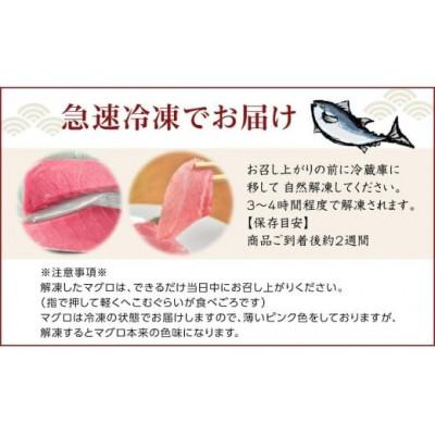 ふるさと納税 瀬戸内町 奄美大島産養殖クロマグロ(2柵セット) |  | 02