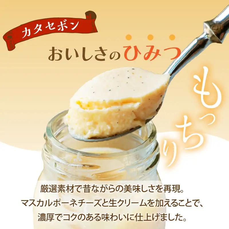 南国プリン「カタセボン(計6個)」 スイーツ 洋菓子 国産_T038-0025