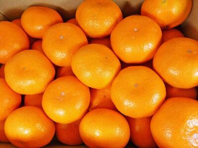 有田みかん5キロ サイズ混合