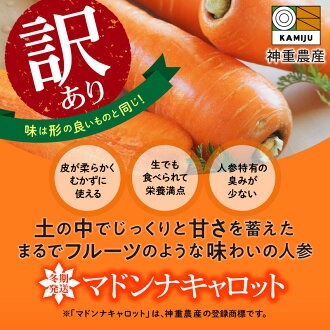 【期間限定】訳あり！こどもも食べられる甘み！「マドンナキャロット」 10kg 大容量 にんじん 人参 ニンジン 野菜 やさい 国産 碧南市 健康 食品ロス削減 甘い 先行予約 旬 特産 高評価 高リピート 人気 H105-147
