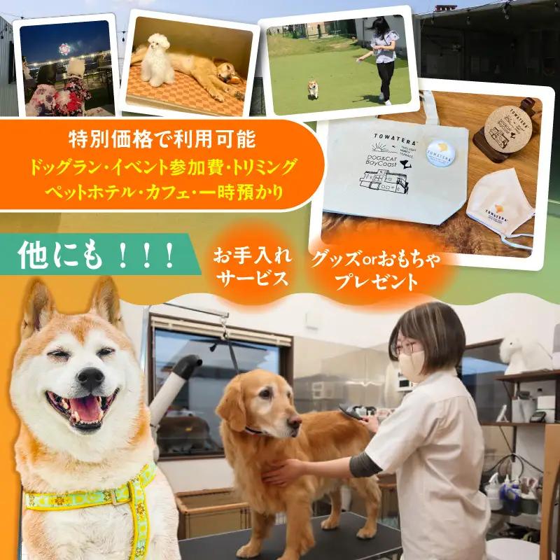【TOWATERAメンバーズ】ドッグラン、ペットホテルなどをお得に利用できる「トワるん」会員入会＋ドッグラン3回分（1頭）｜ペット 常滑市