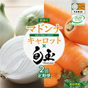 【ふるさと納税】【先行予約】訳あり にんじん 新玉ねぎ 定期便 2回 マドンナキャロット 美味しい お届け 旬玉 たまねぎ 国産 野菜 こどもも食べられる 皮まで食べられる 栄養満点 ミネラル 生鮮食品 愛知県 碧南市 神重農産 かき揚げ 炊き込みご飯 煮物 お取り寄せ 送料無料