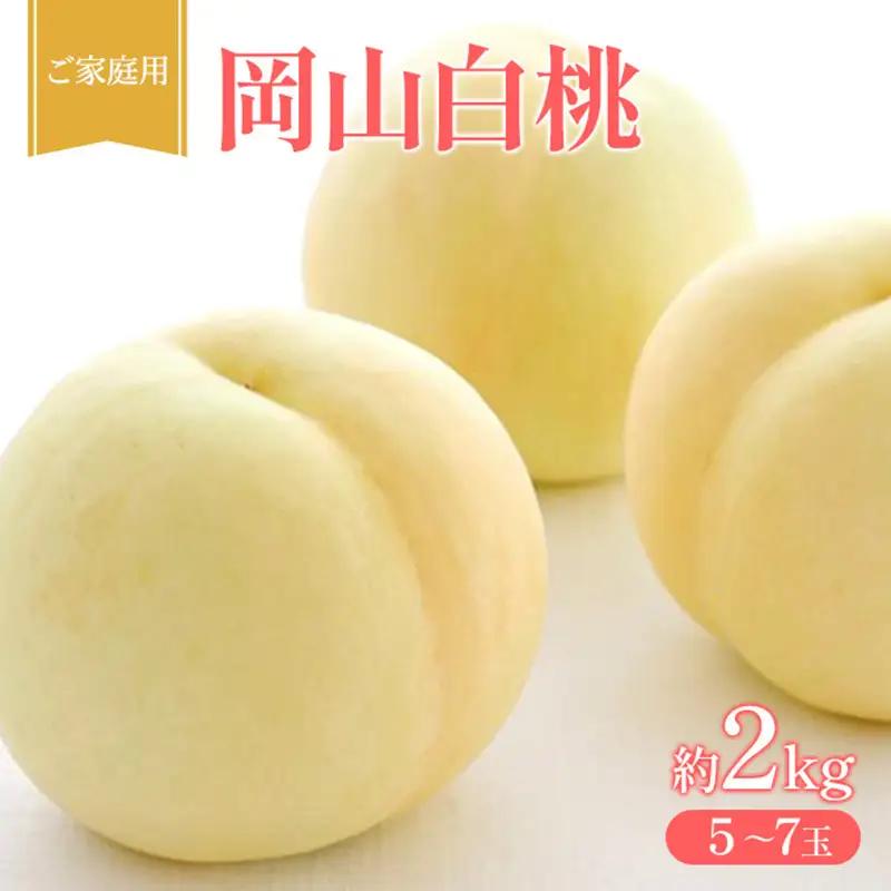 桃 白桃 家庭用 岡山県産 白桃【約2kg5～7玉】【先行受付】