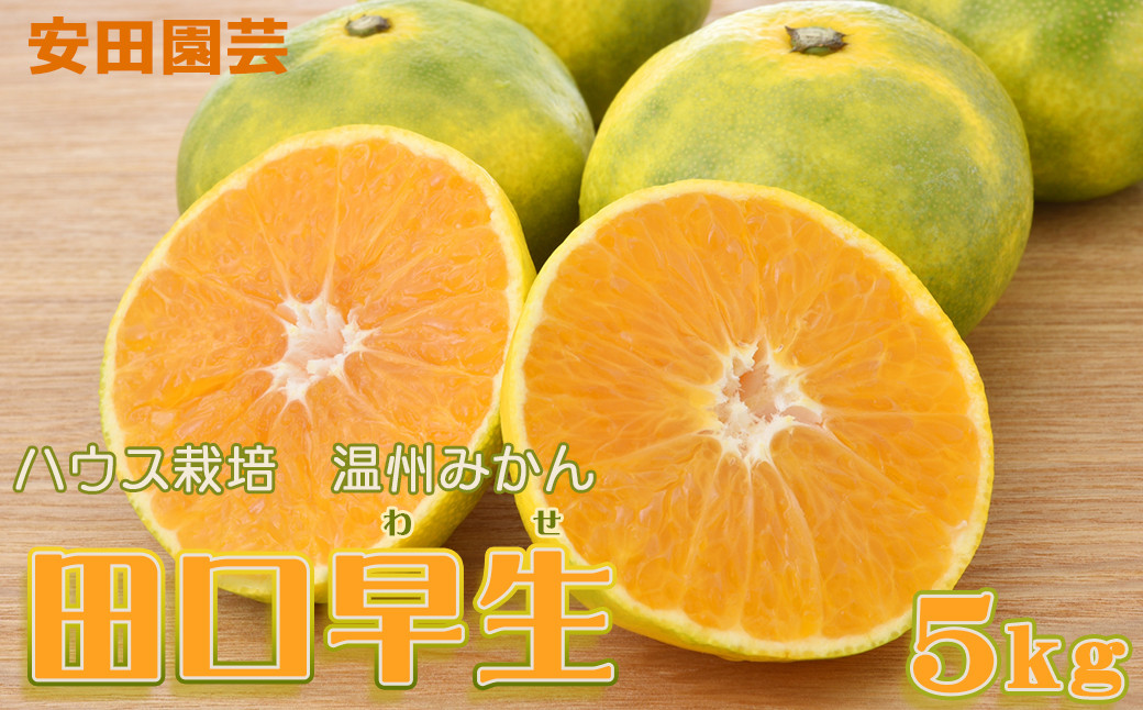 
                  【鴨川の柑橘】ひと房で旨さ際立つ 温州みかん『田口早生』５kg
《11月中旬より発送》《数量限定》《先行予約》ちばエコ農産物 旬の柑橘 みかん ミカン 蜜柑 早生温州 早生みかん 薄皮 樹上完熟 ハウス栽培 鴨川産 千葉県産 [安田園芸][0010-0369]
                
