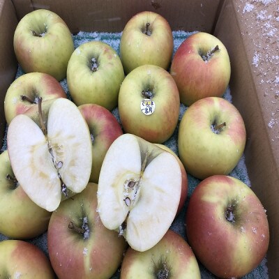 甘くてシャキシャキ!　青森県産りんご　ぐんま名月　贈答用　約5kg　蜜入りも!【1342668】