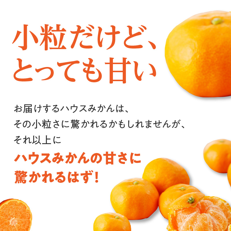 ★予約受付★【2025年6月以降配送】佐賀県産ハウスみかん　約1.5kg【件数限定】