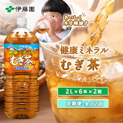 ふるさと納税 恵庭市 『定期便:全12回』健康ミネラル麦茶2L×6本×2箱【50002401】