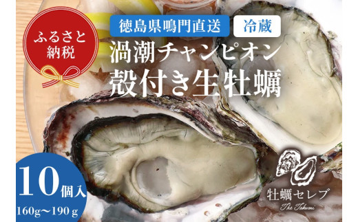 【予約受付中・2026年11月下旬頃より順次発送】【牡蠣セレブ】渦潮チャンピオン 160g～190g×10個    生食  カキ 殻付き 生牡蠣 かき 鳴門  かき ブランド牡蠣 海鮮 魚介 貝類 焼き牡蠣 蒸し焼き カキフライ アヒージョ 牡蠣ご飯