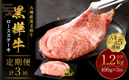 ステーキ 牛肉 【3回定期便】九州産黒毛和牛 杉本本店 黒樺牛 A4~A5等級  ロースステーキ定期便 400g×3回 BBQ アウトドア キャンプ 和牛 黒毛和牛 冷凍 熊本県産 九州産 国産 冷凍 