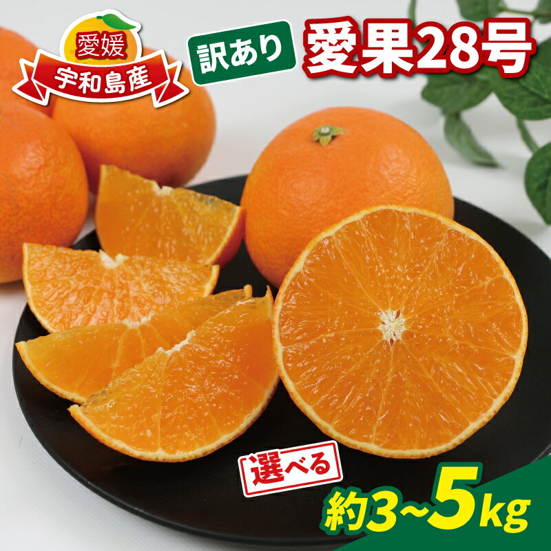 【ふるさと納税】 訳あり 愛果28号 ( 紅まどんな と同品種) 選べる容量 3kg ～ 5kg 家庭用 玉津柑橘倶楽部 先行予約 愛媛みかん 高級 ブランド 限定 品種 プルプル 甘い 玉津 みかん mikan 果物 フルーツ 柑橘 濃厚 甘味 産地直送 数量限定 国産 愛媛 宇和島