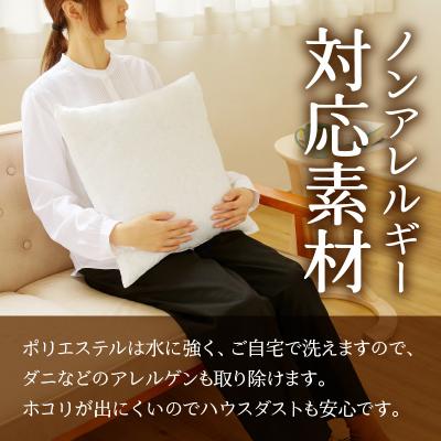 ふるさと納税 滝川市 【ノンアレルギー素材】洗えるヌードクッション 5個 完全国内生産 国産 ホテル仕様 日本製 |  | 02
