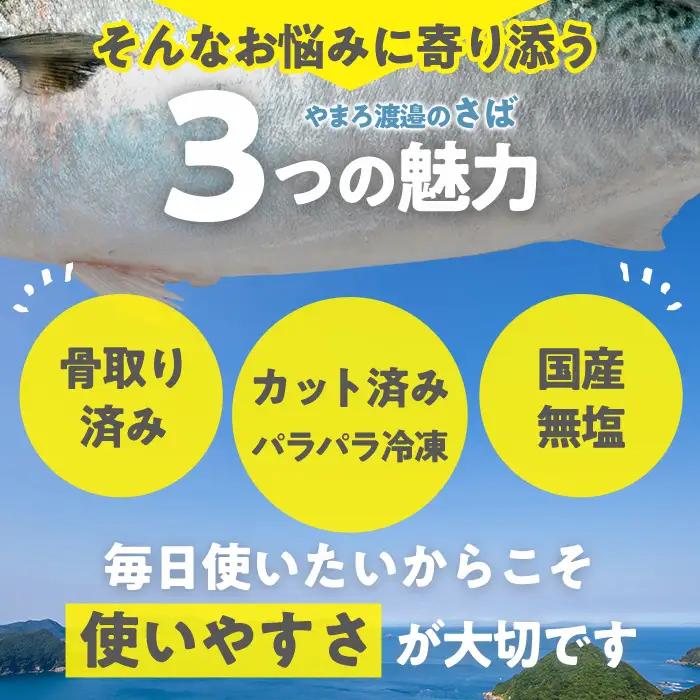＜定期便・全3回 (隔月)＞ 訳あり 業務用 鯖 切り身 (総計約3.6kg・40g前後×90切) さば 切身【AQ92】【やまろ渡邉】