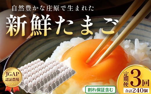 
                  定期便 3回配送 新鮮 たまご 80個×3回 合計240個 | 自然豊かな庄原で生まれた 新鮮たまご 広島県 庄原市 卵 たまご 玉子 タマゴ 鶏卵 生卵 ワケアリ 訳アリ MSサイズ～2Lサイズ サイズ混合 サイズ指定不可
                