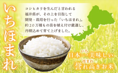 定期便≪3ヶ月連続お届け≫いちほまれ 5kg × 3回 令和5年 福井県産【白米】【お米 計15キロ】 [e30-b007]