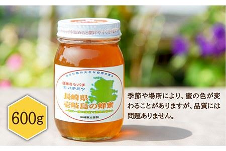 ニホンミツバチ 生蜂蜜 600g×1 《壱岐市》【憲ちゃんハチミツ】[JCL001] ハチミツ 蜂蜜 日本蜜蜂 29000 29000円  コダワリはちみつ・蜂蜜・ハチミツ こだわりはちみつ・蜂蜜・ハ
