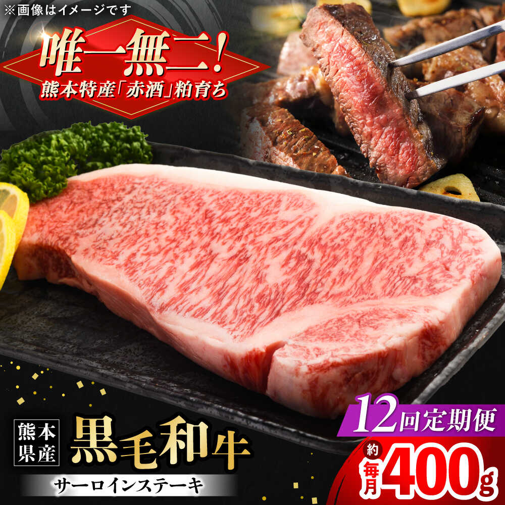 【ふるさと納税】【全12回定期便】熊本県産 『原田畜産』 黒毛和牛 サーロイン ステーキ 計約400g（約200g×2枚）[AYCN053]